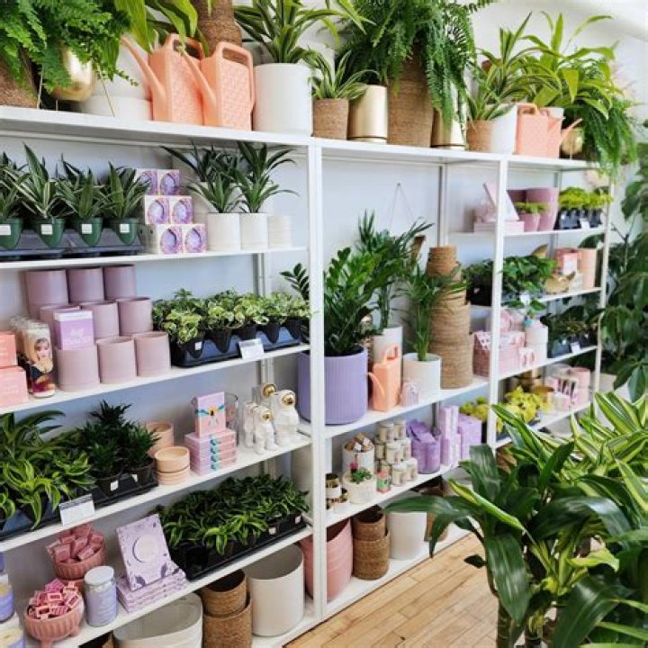 Discover Floret Joy: The Ultimate Guide to Fresh Flowers and Gifts