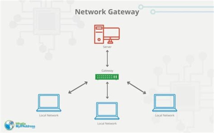 Discovering vgas.in: A Gateway to Quality Virtual Gaming Services