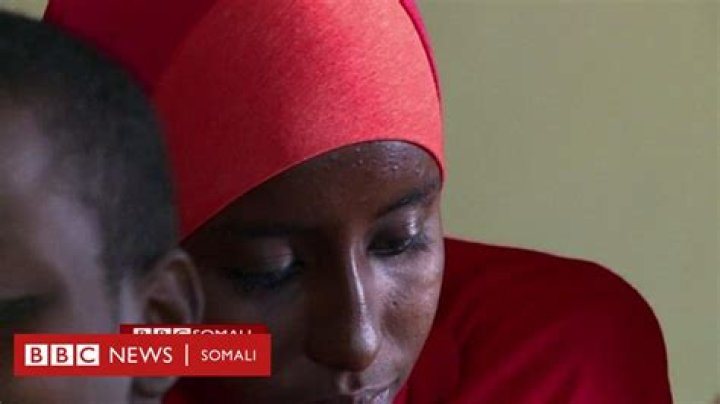 Wasmo Somali Channel Owner: The Story Behind the Viral Sensation