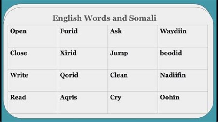 Wasmo Somali Meaning in English PDF: A Comprehensive Guide to Understanding the Phrase