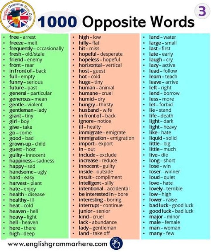 Wasmo Somali Meaning in English PDF Download Free 2020: Your Ultimate Guide