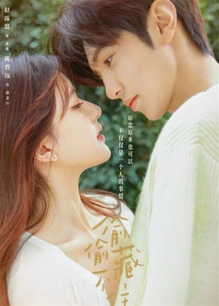 Zhao Lusi's Relationships: A Deep Dive into Her Romantic Life